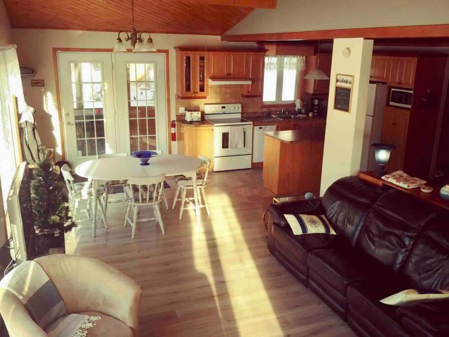 Le Chalet Bleu, Aux Pieds Des Monts-Valin Saint-David-de-Falardeau Zewnętrze zdjęcie