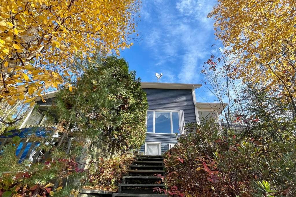 Le Chalet Bleu, Aux Pieds Des Monts-Valin Saint-David-de-Falardeau Zewnętrze zdjęcie
