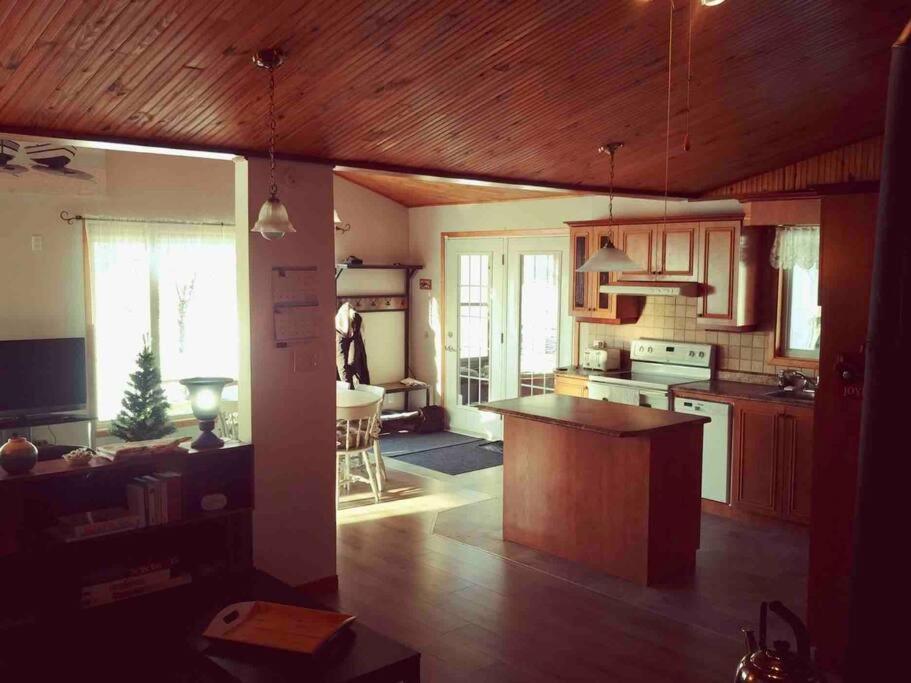 Le Chalet Bleu, Aux Pieds Des Monts-Valin Saint-David-de-Falardeau Zewnętrze zdjęcie